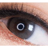 i-DOL Yurial Earl Gray — single-eye close-up showing the contact lens appearance