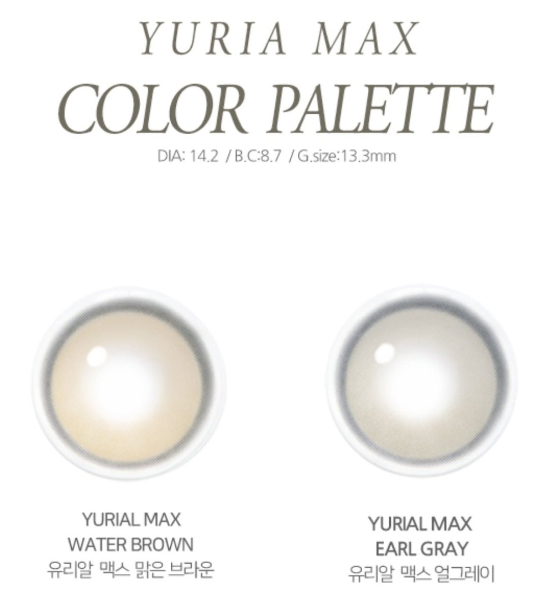 i-DOL Yurial Max Water Brown colored contact lens, 13.3mm graphic diameter, Monthly wear