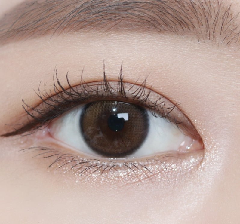 i-DOL Yurial Water Brown 1 Day (10p) colored contact lens, 13.2mm graphic diameter, Daily wear