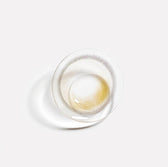 i-DOL Yurial Water Brown 1 Day (10p) colored contact lens, 13.2mm graphic diameter, Daily wear