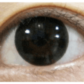 Olens Indie Black — single-eye close-up showing the contact lens appearance