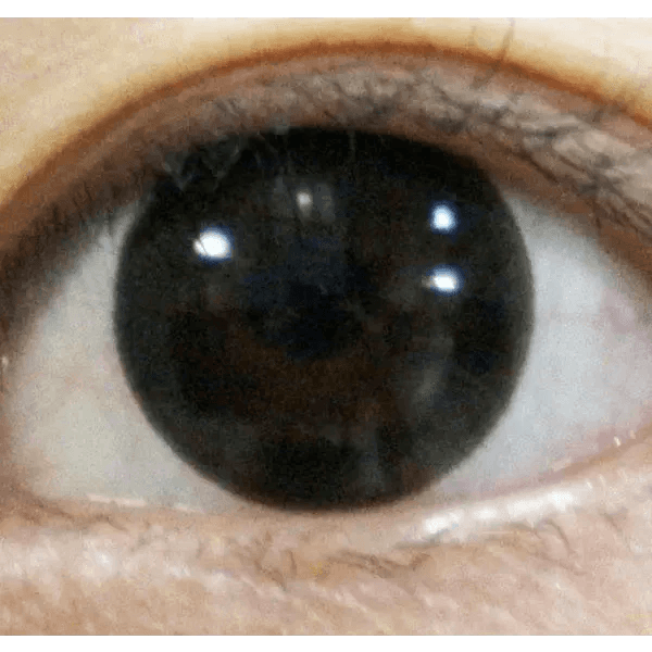 Olens Indie Black — single-eye close-up showing the contact lens appearance
