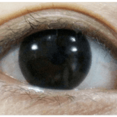 Olens Indie Black — single-eye close-up showing the contact lens appearance