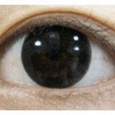 Olens Indie Black — single-eye close-up showing the contact lens appearance