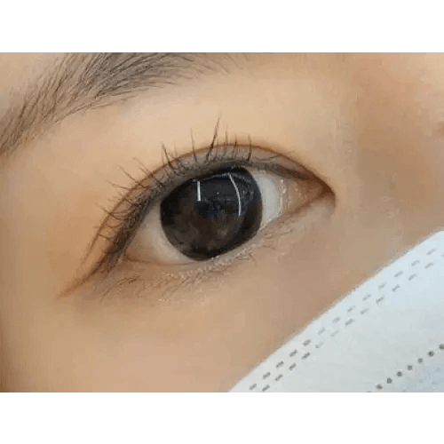 Olens Indie Black — single-eye close-up showing the contact lens appearance
