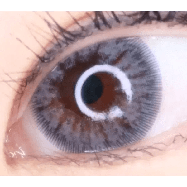 LensRang Intense Gray — single-eye close-up showing the contact lens appearance