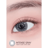 LensRang Intense Gray — single-eye close-up showing the contact lens appearance