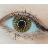LensRang iWWi Ailleen Brown — single-eye close-up showing the contact lens appearance