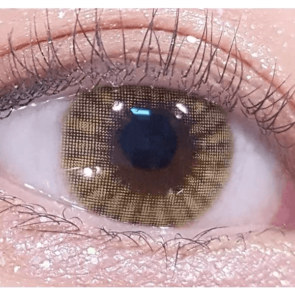 LensRang iWWi Ailleen Brown — single-eye close-up showing the contact lens appearance