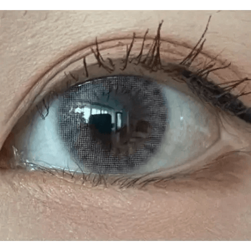 LensRang iWWi Ailleen Gray — single-eye close-up showing the contact lens appearance