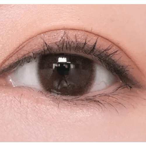 LensRang iWWi Hibiscus Brown — single-eye close-up showing the contact lens appearance