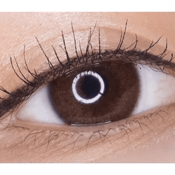 LensRang iWWi Hibiscus Brown — single-eye close-up showing the contact lens appearance