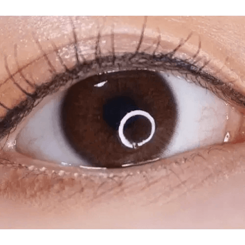 LensRang iWWi Hibiscus Brown — single-eye close-up showing the contact lens appearance