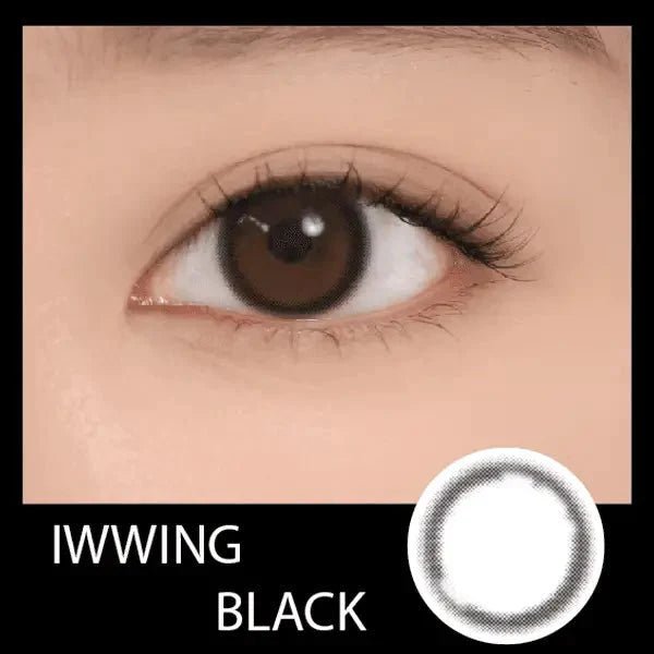 LensRang iWWi Iwwing Black — single-eye close-up showing the contact lens appearance