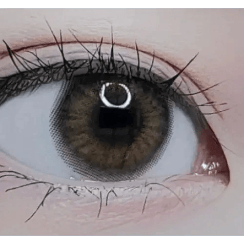 LensRang iWWi Iwwinka Gray — single-eye close-up showing the contact lens appearance