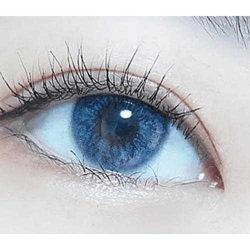 LensRang iWWi Narcissus Blue — single-eye close-up showing the contact lens appearance