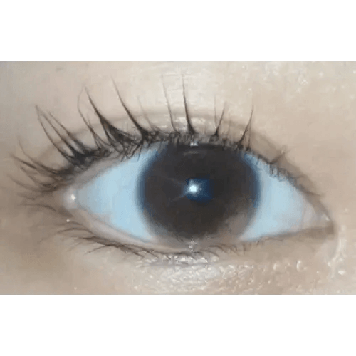 LensTown Joy Burgundy Brown — single-eye close-up showing the contact lens appearance
