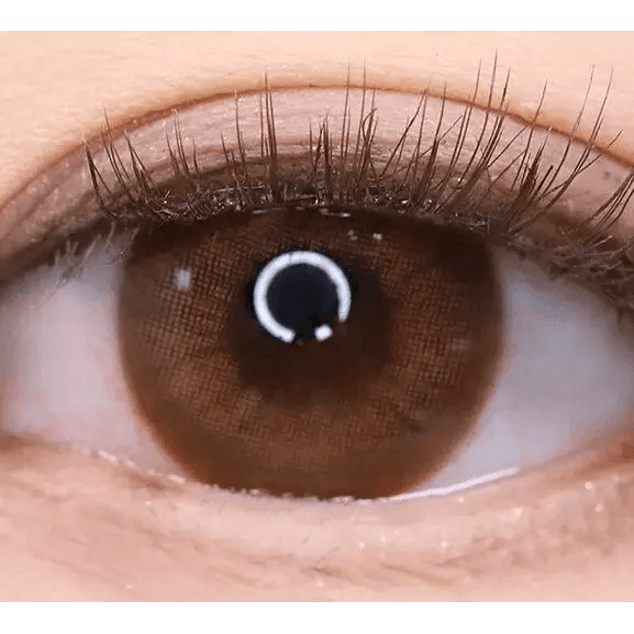 LensTown Kakao Friends Apeach Brown — single-eye close-up showing the contact lens appearance