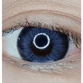 LensTown Kakao Friends Neo Gray — single-eye close-up showing the contact lens appearance