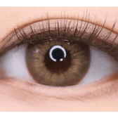 LensTown Kakao Friends Ryan Brown — single-eye close-up showing the contact lens appearance