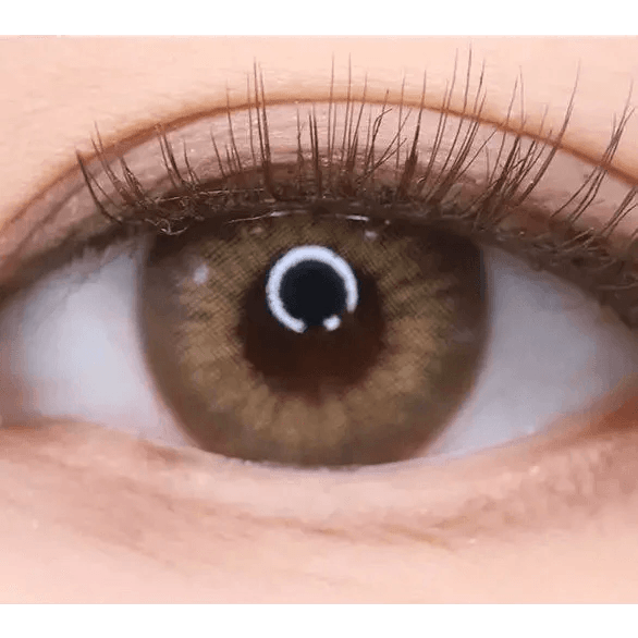 LensTown Kakao Friends Ryan Brown — single-eye close-up showing the contact lens appearance