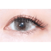 LensTown Kiralet Brown Toric — single-eye close-up showing the contact lens appearance