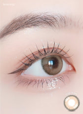 LensRang Comely Brown — single-eye close-up showing the contact lens appearance