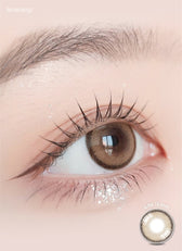 LensRang DayLook 1Day Brown (5p) — single-eye close-up showing the contact lens appearance