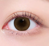 LensTown 247 BB Honey Brown (10p) colored contact lens, 13.1mm graphic diameter, Daily wear