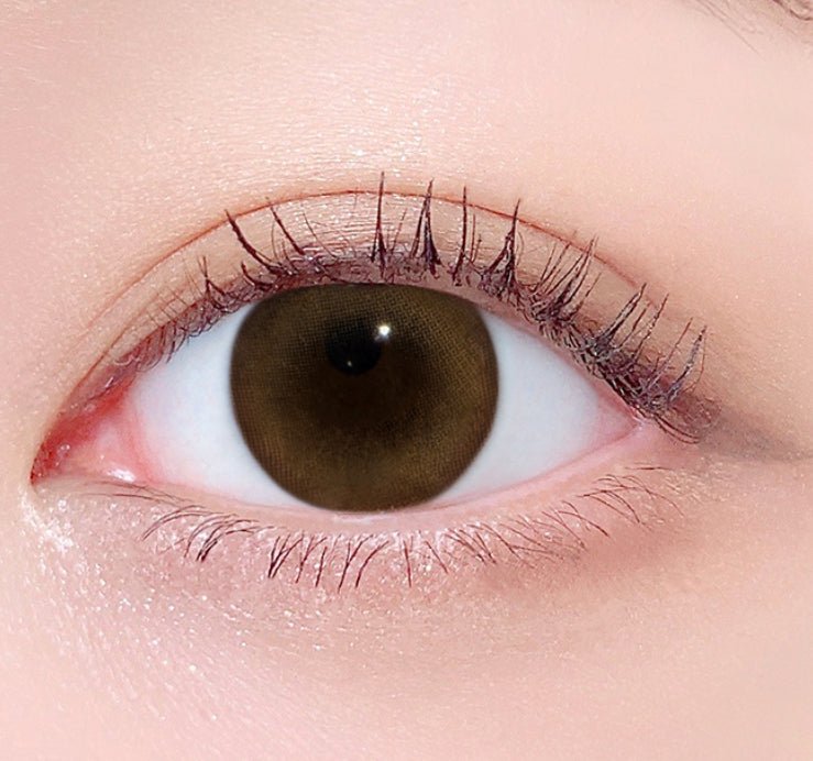 LensTown 247 BB Honey Brown (10p) colored contact lens, 13.1mm graphic diameter, Daily wear