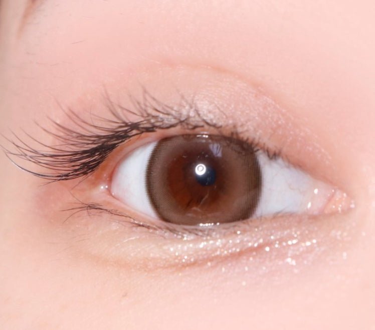 LensTown 247 Bom Brown colored contact lens, 13.4mm graphic diameter, Monthly wear