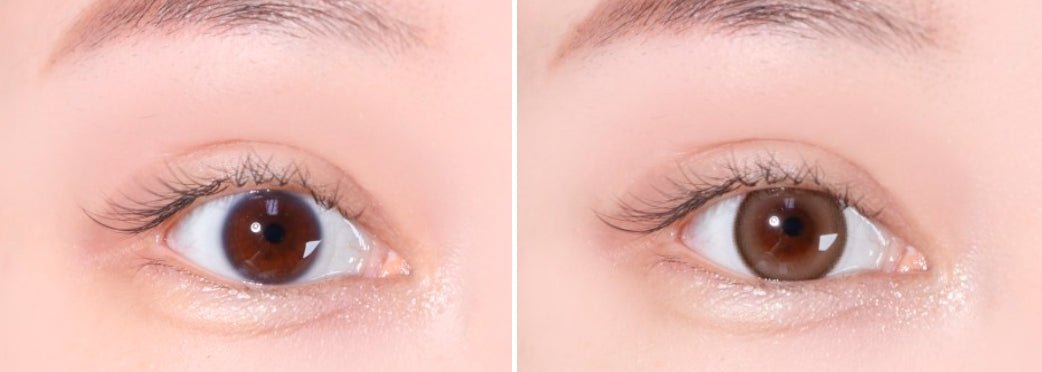LensTown 247 Bom Brown colored contact lens, 13.4mm graphic diameter, Monthly wear