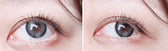 LensTown It's Me Coco Gray colored contact lens, 13.4mm graphic diameter, Monthly wear