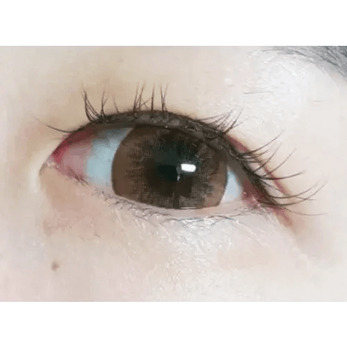 LensTown Silimedi Palm Brown — single-eye close-up showing the contact lens appearance
