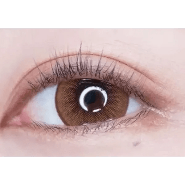 LensTown Silimedi Palm Brown — single-eye close-up showing the contact lens appearance