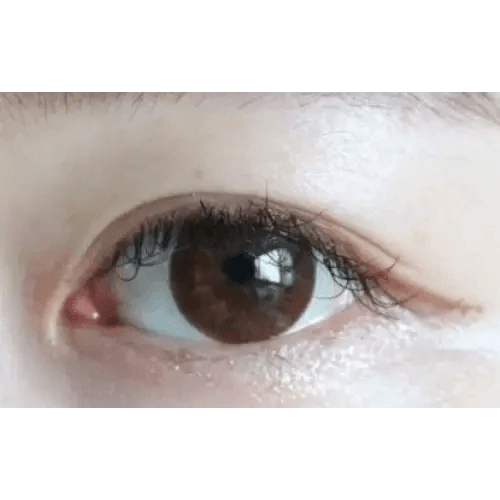LensTown Silimedi Palm Brown — single-eye close-up showing the contact lens appearance