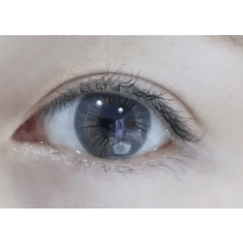 LensTown Sweet Pong Gray — single-eye close-up showing the contact lens appearance