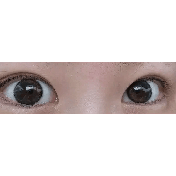 LensTown Tobetter Big Black Toric