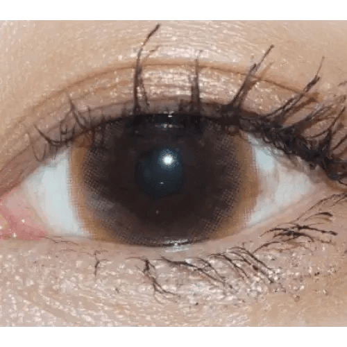 LensTown Unisome Brown