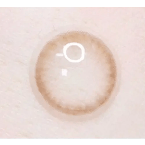 LensTown Unisome Brown