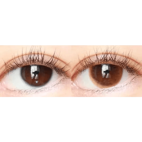 LensTown Unisome Brown colored contact lens, 13.1mm graphic diameter, Monthly wear
