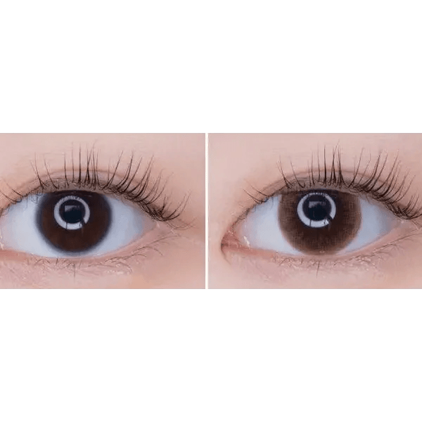 LensTown Unisome Brown