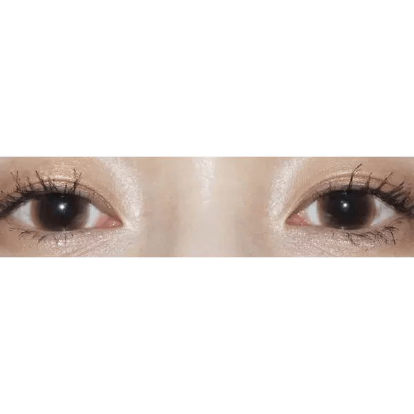 LensTown Unisome Brown