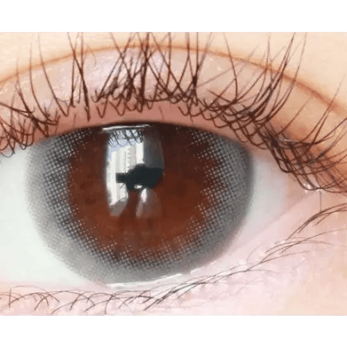 LensTown Unisome Gray — single-eye close-up showing the contact lens appearance