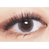 LensTown Unisome Gray — single-eye close-up showing the contact lens appearance