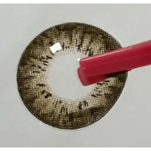 LensTown Vocati Brown