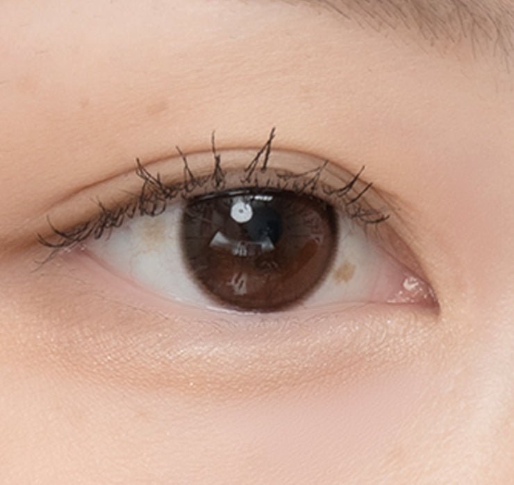 LensVery Anreen Brown Choco colored contact lens, 13.1mm graphic diameter, Monthly wear