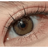 LensVery Silhouette2 Sheer Brown — single-eye close-up showing the contact lens appearance
