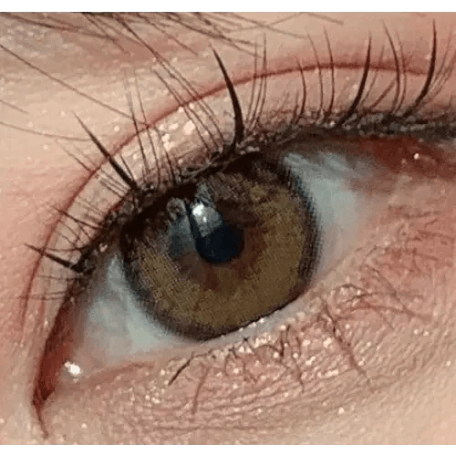 LensVery Silhouette2 Sheer Brown — single-eye close-up showing the contact lens appearance