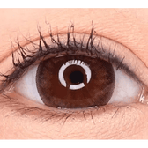 LensVery Sydney Brown (10p) — single-eye close-up showing the contact lens appearance